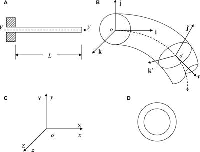 Periodic motion of macro- and/or micro-scale cantilevered fluid-conveying pipes with O(2) symmetry: a finite dimensional analysis